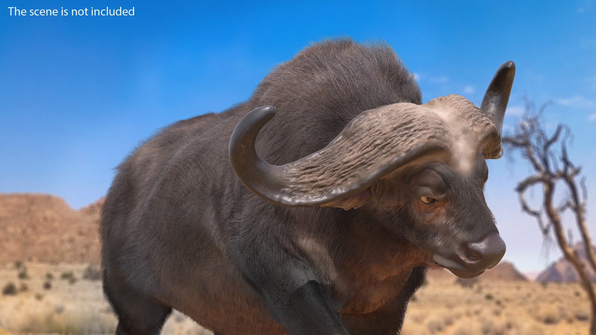 3D Rigged African Animals Collection 10 for Maya model https://p.turbosquid.com/ts-thumb/tH/OXgWGL/am/riggedafricananimalscollection10c4dmodel070/jpg/1628252352/1920x1080/fit_q87/439dff91b55b52013c1185e93be9314d9e94dd37/riggedafricananimalscollection10c4dmodel070.jpg