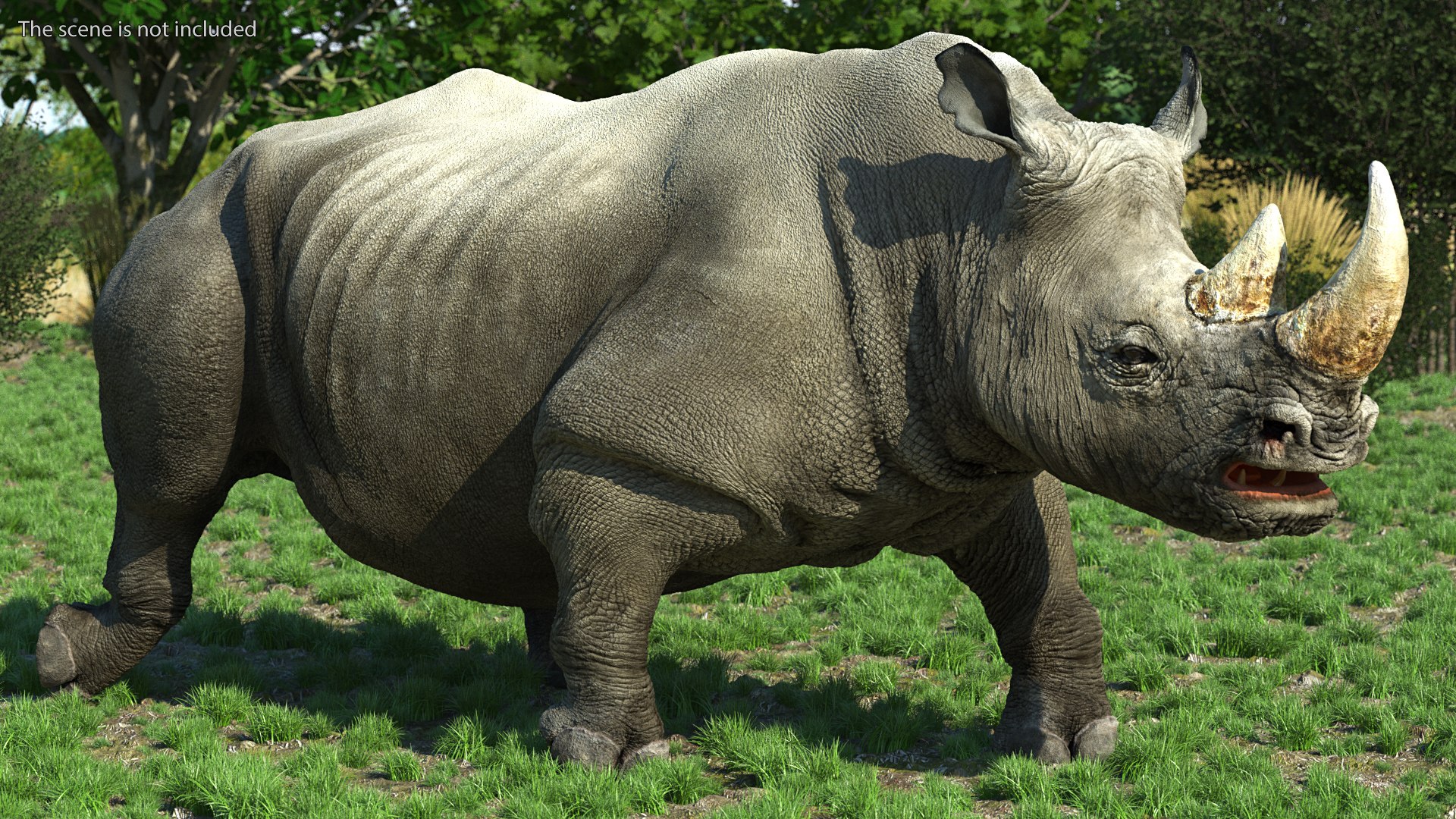3D Rigged African Animals Collection 10 for Maya model https://p.turbosquid.com/ts-thumb/tH/OXgWGL/rW/riggedafricananimalscollection10c4dmodel044/jpg/1628252289/1920x1080/fit_q87/af9c59270069312b4c6767e8b13b9016a7539f86/riggedafricananimalscollection10c4dmodel044.jpg