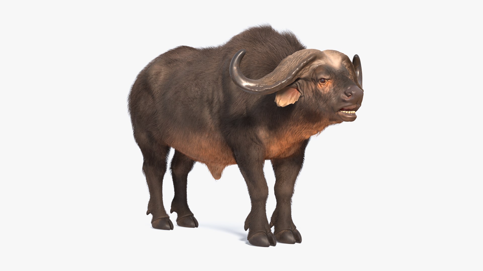 3D Rigged African Animals Collection 10 for Maya model https://p.turbosquid.com/ts-thumb/tH/OXgWGL/rp/riggedafricananimalscollection10c4dmodel066/jpg/1628252342/1920x1080/fit_q87/48c76804a36542b46199b5b64b8d2b4811c3bd0a/riggedafricananimalscollection10c4dmodel066.jpg