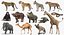 Collezione di animali africani truccati 10 per Maya