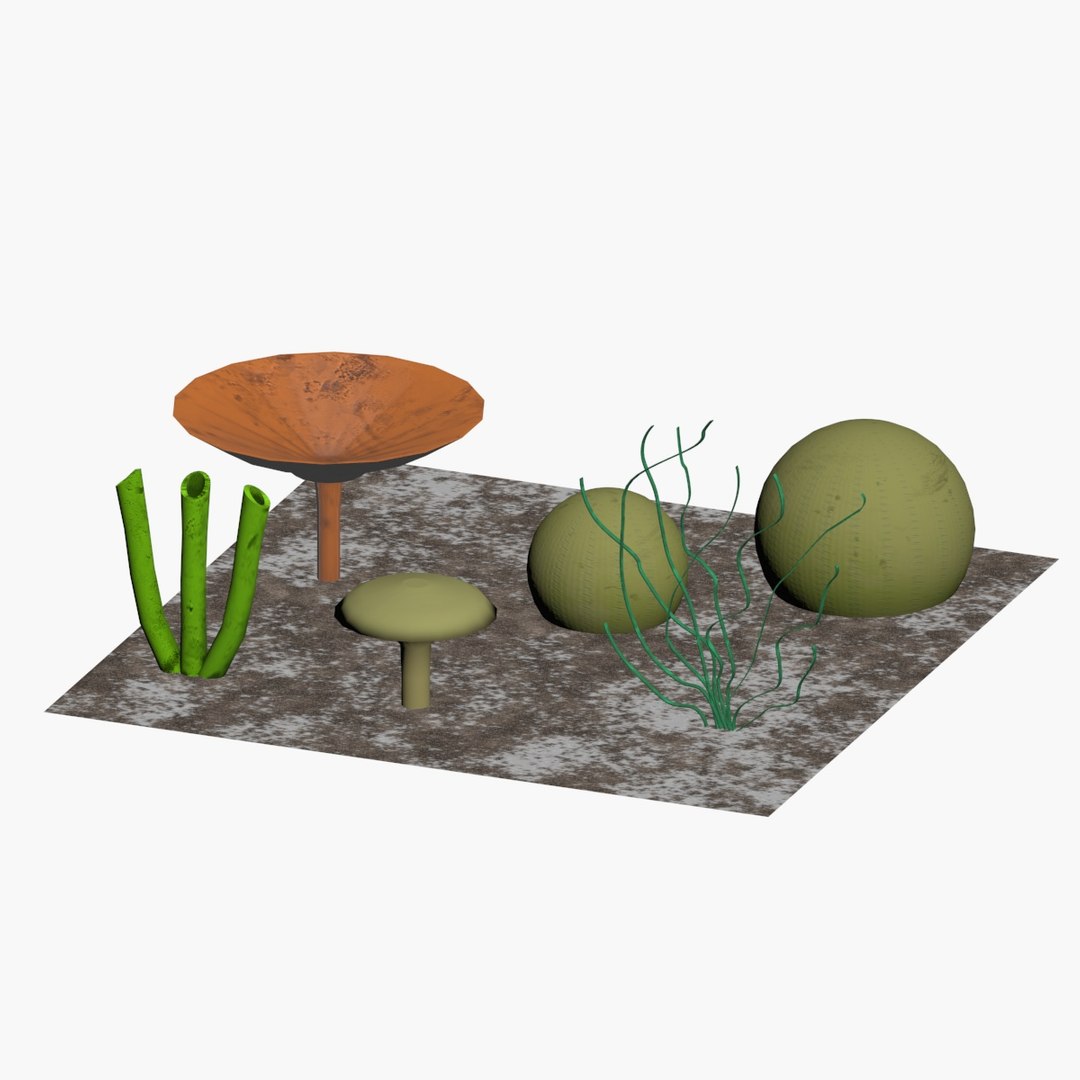 Coral Collection V1 3D - TurboSquid 1750884