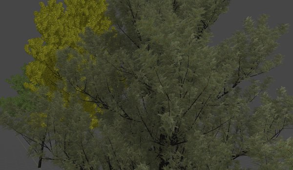 3d Trees Landscape Model Turbosquid 1666926 3d Trees Landscape Model Turbosquid 1666926