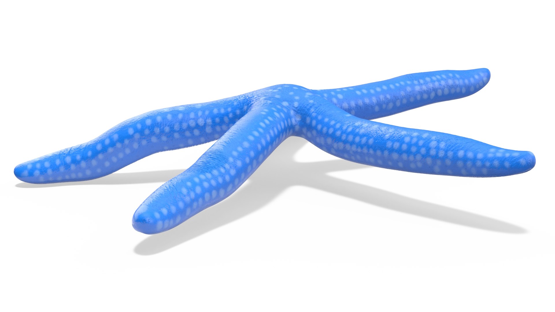 3D Blue Starfish https://p.turbosquid.com/ts-thumb/tH/cPKO0R/1Q/bluestarfishvray3dmodel006/jpg/1714596475/1920x1080/fit_q87/0b6c9d34be17e7e57ae986851c9548d8af378a1f/bluestarfishvray3dmodel006.jpg