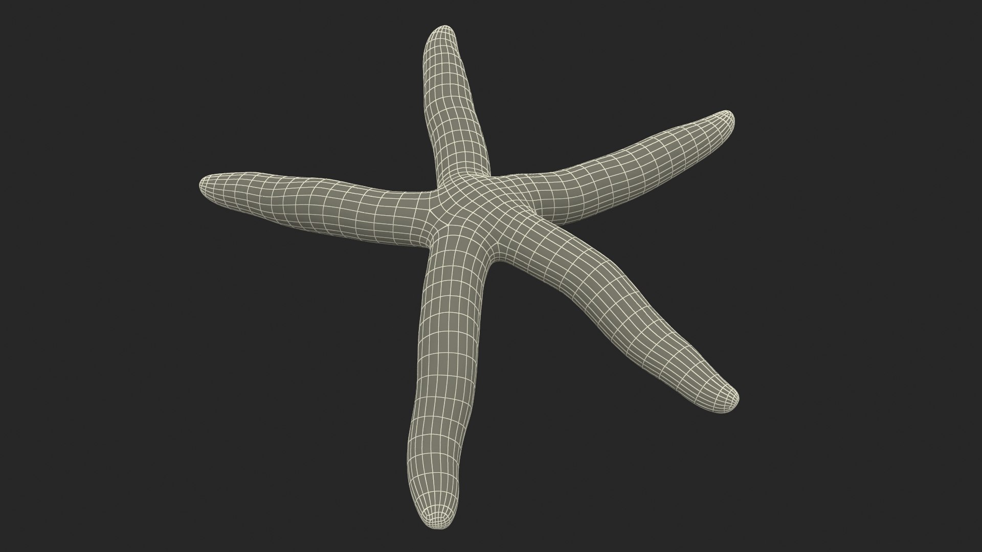 3D Blue Starfish https://p.turbosquid.com/ts-thumb/tH/cPKO0R/JF/bluestarfishvray3dmodel017/jpg/1714596509/1920x1080/fit_q87/3b91d17a82d895e8d7c641e9bb24c55613a53f99/bluestarfishvray3dmodel017.jpg