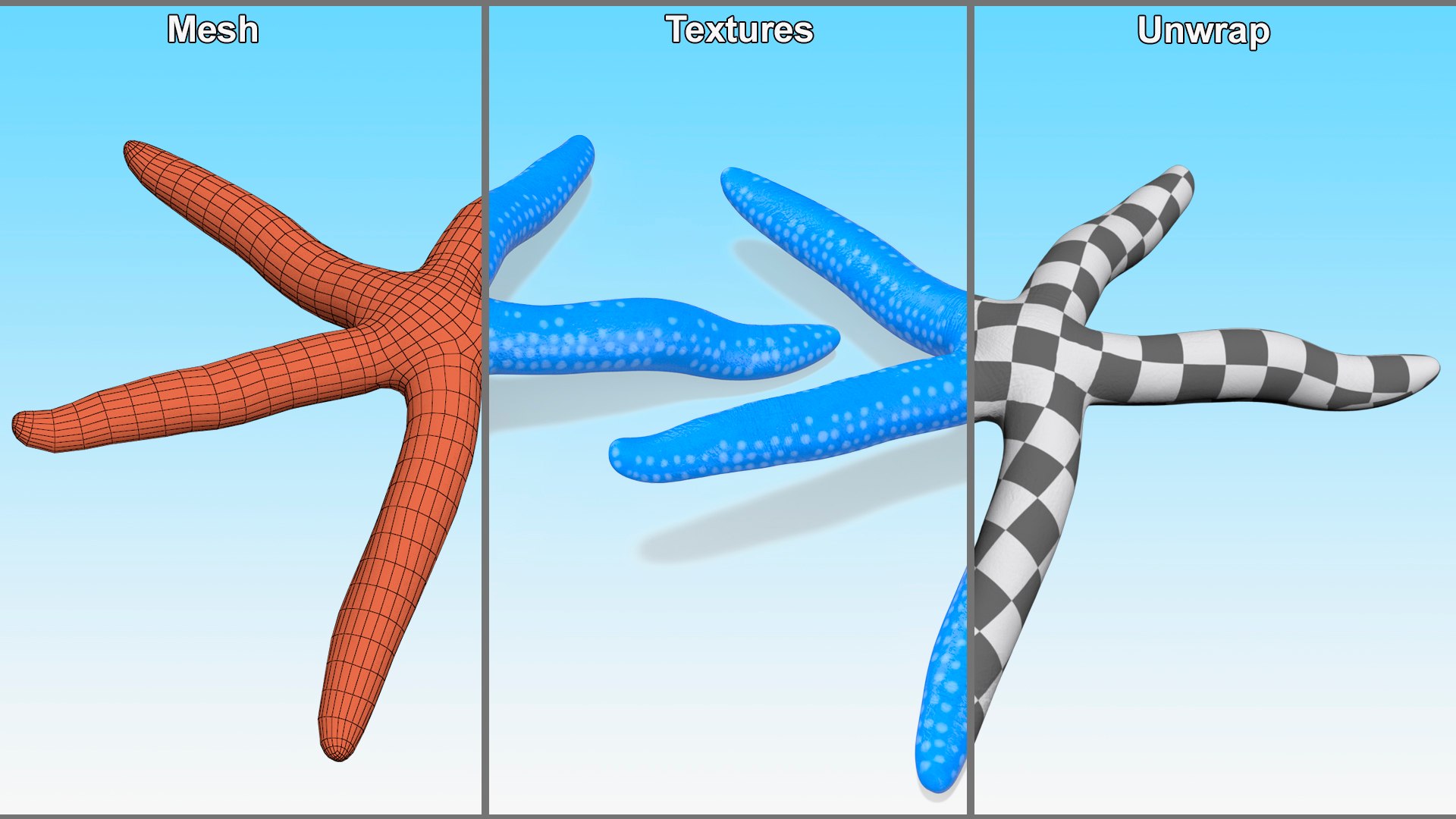 3D Blue Starfish https://p.turbosquid.com/ts-thumb/tH/cPKO0R/Wq/bluestarfishvray3dmodel008/jpg/1714596482/1920x1080/fit_q87/b768553f1682626191916cc7f7ddfc0743b9cda6/bluestarfishvray3dmodel008.jpg
