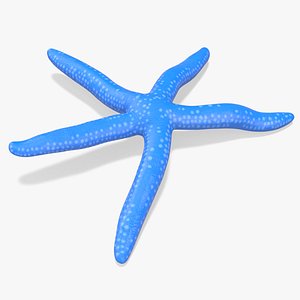 3D Blue Starfish