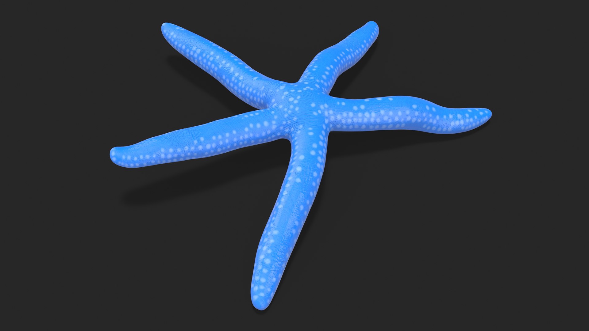 3D Blue Starfish https://p.turbosquid.com/ts-thumb/tH/cPKO0R/qz/bluestarfishvray3dmodel004/jpg/1714596469/1920x1080/fit_q87/adec0234e842609b71be82ad9c1c76a1dd5a324c/bluestarfishvray3dmodel004.jpg