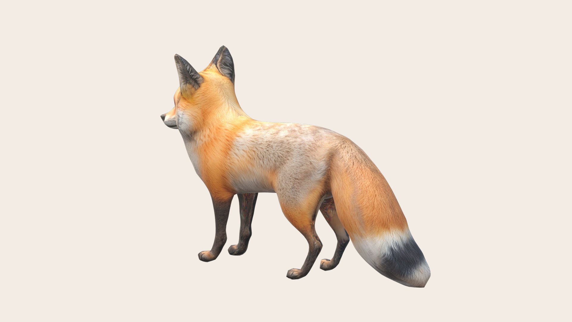 3D Fox - TurboSquid 2218985
