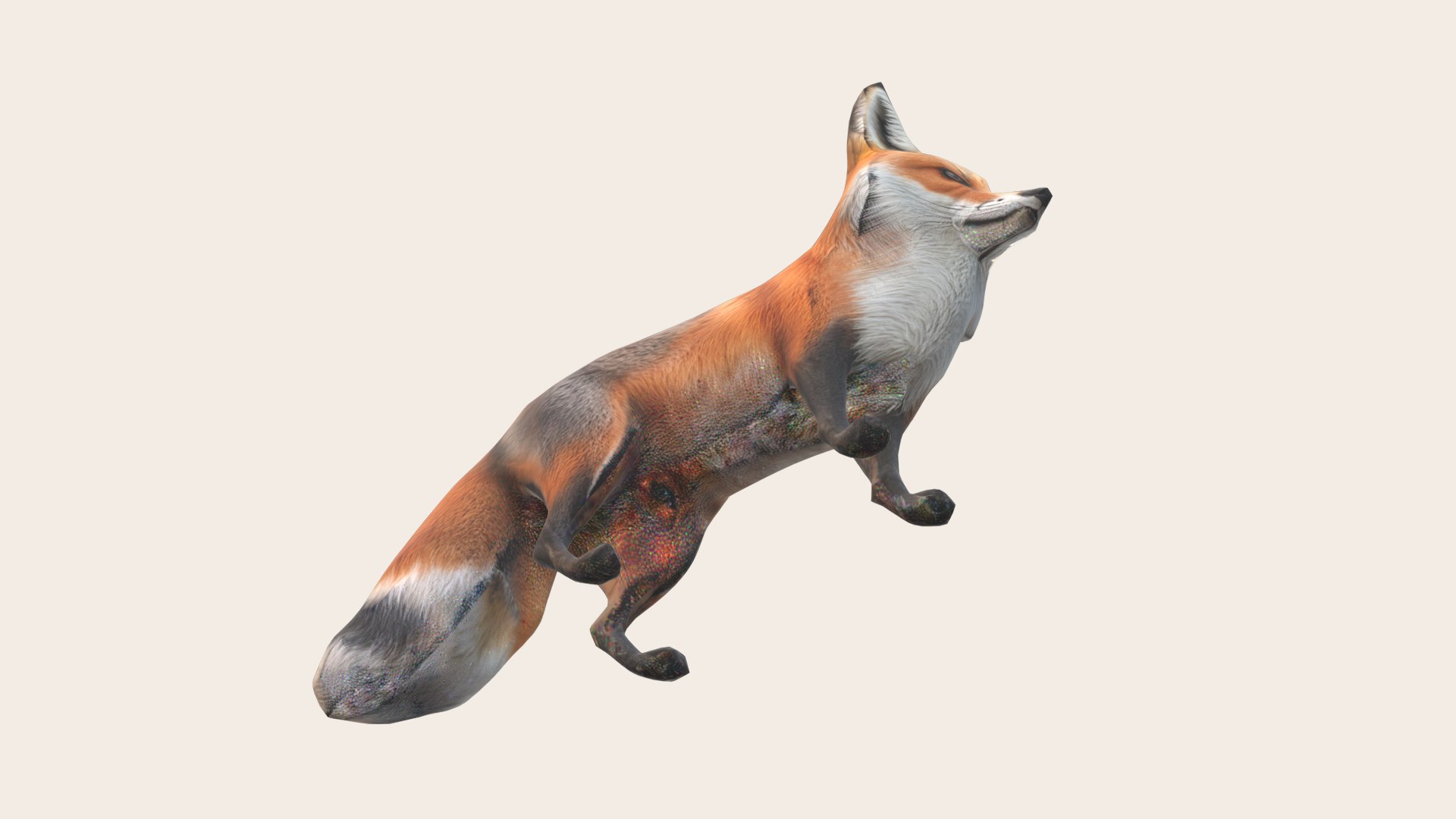 3D Fox - TurboSquid 2218985
