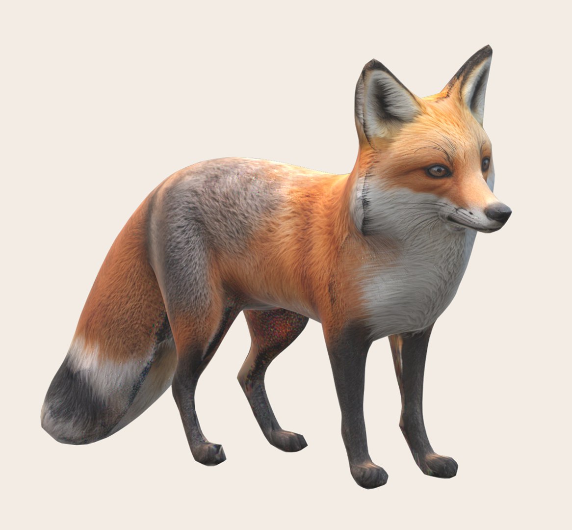 3D Fox - TurboSquid 2218985
