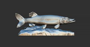 3D model Pike fish on the base