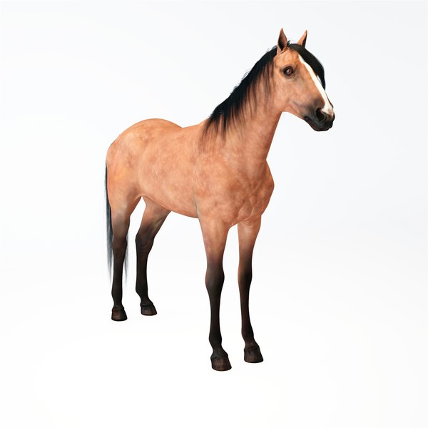 Cavalo estilizado Lowpoly animado para jogos VR AR Modelo 3D - TurboSquid  2059450