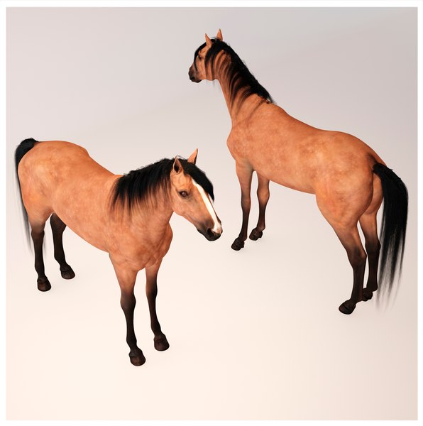 Cravache cheval : 2 357 images, photos de stock, objets 3D et images  vectorielles