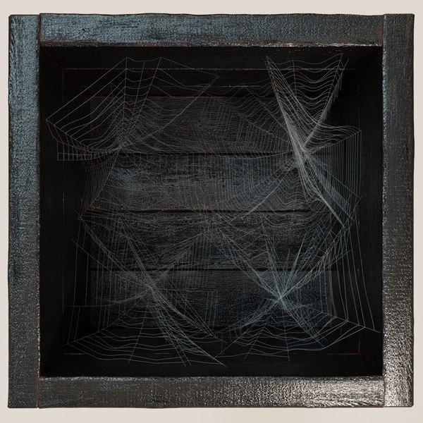 Free 3D Spider-Web Models | TurboSquid