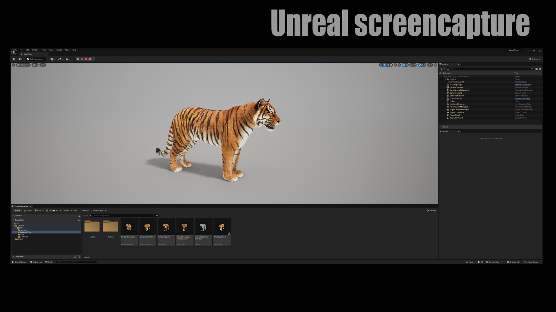 Bengal Tiger Animated UNREAL project model https://p.turbosquid.com/ts-thumb/tI/SmuPyG/6d/07/jpg/1725239153/1920x1080/fit_q87/d1c2e21135730046d6799521b76ad3b40c264bf9/07.jpg