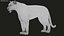 Bengal Tiger Animated UNREAL project   Maya base rig