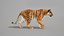 Bengal Tiger Animated UNREAL project   Maya base rig