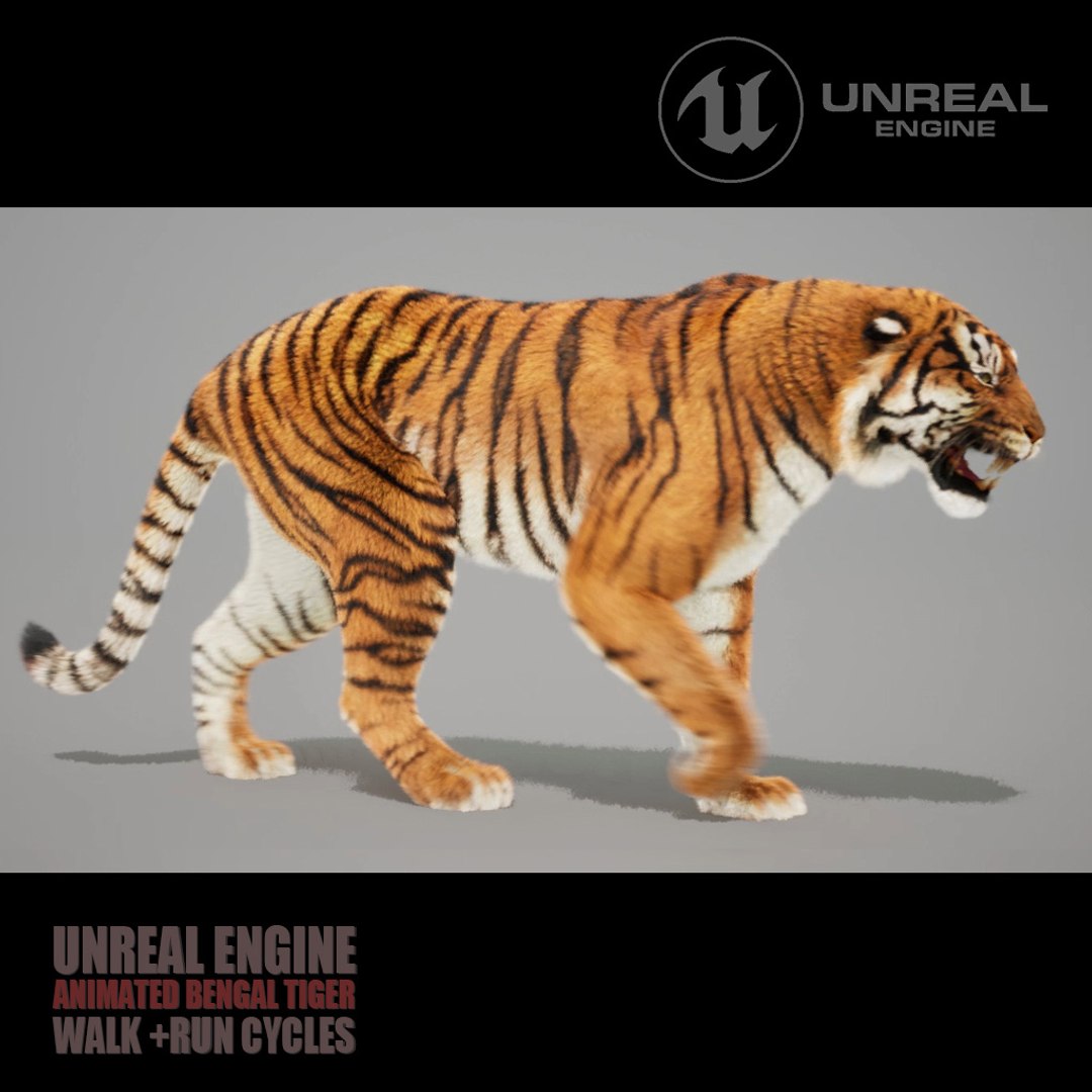 Bengal Tiger Animated UNREAL project model https://p.turbosquid.com/ts-thumb/tI/SmuPyG/NO/maints/jpg/1725239153/1920x1080/fit_q87/cae8d1de68c49dcef0c099326fb2af0245530735/maints.jpg