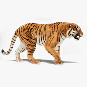 Bengal Tiger Animated UNREAL project model