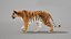 Bengal Tiger Animated UNREAL project   Maya base rig