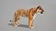 Bengal Tiger Animated UNREAL project   Maya base rig