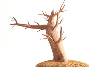 max old tree