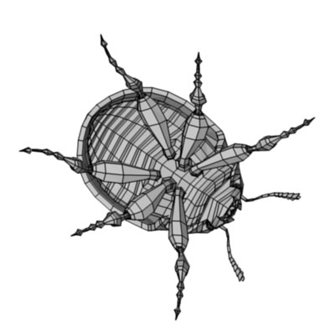 3d model coccinella ladybug https://p.turbosquid.com/ts-thumb/tI/lIkhHy/75CZHv2d/ladybugw2/jpg/1202352082/1920x1080/fit_q87/44388df29be81f679ca5590c7dbc8e802e0f16c3/ladybugw2.jpg