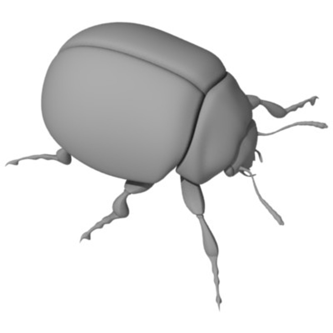 3d model coccinella ladybug https://p.turbosquid.com/ts-thumb/tI/lIkhHy/WJUunl8u/ladybuge/jpg/1202352064/1920x1080/fit_q87/cbd428aa09a05284fe8746b6fc82ea860034af35/ladybuge.jpg