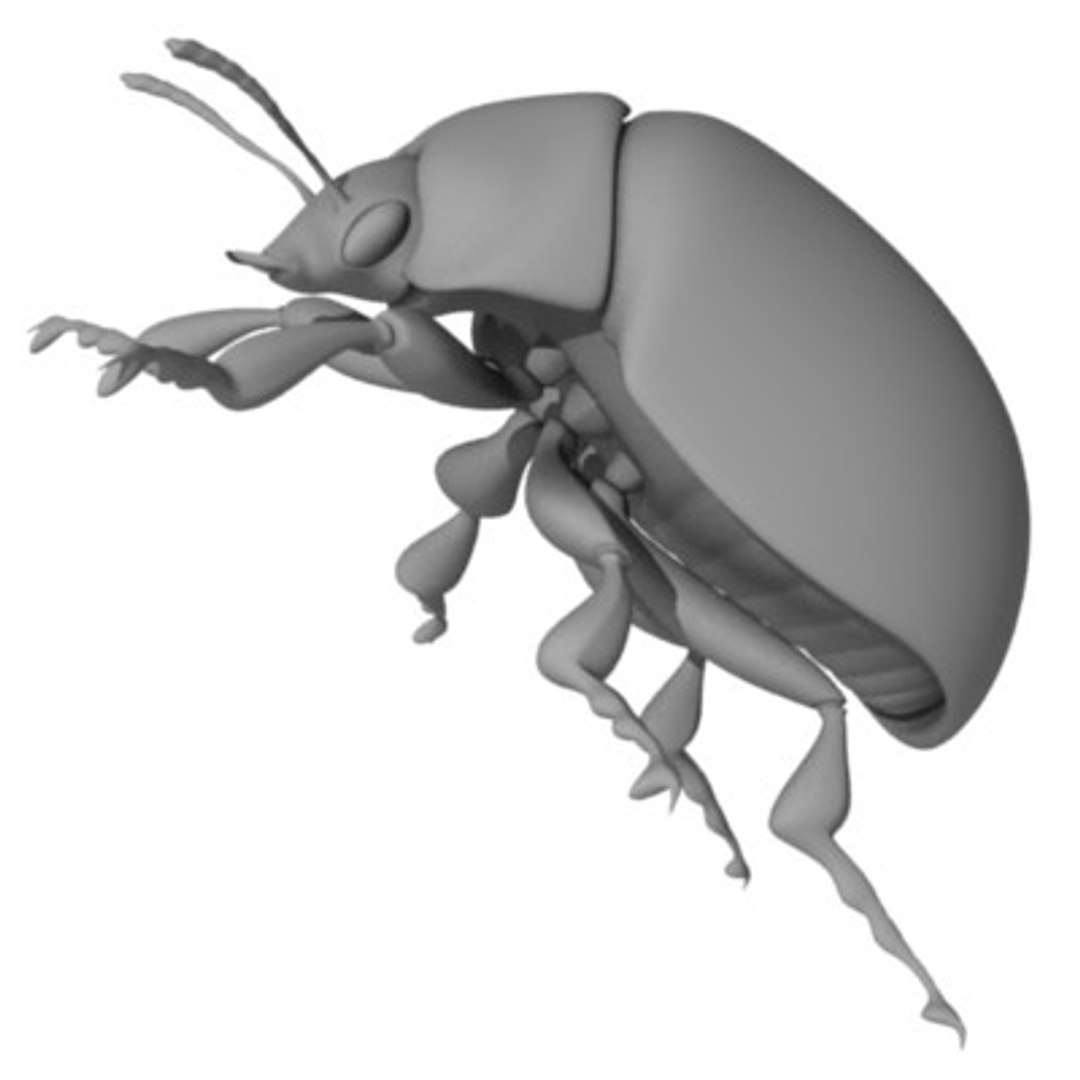 3d model coccinella ladybug https://p.turbosquid.com/ts-thumb/tI/lIkhHy/bjbC5f6D/ladybugf/jpg/1202352070/1920x1080/fit_q87/6a5f8f79a10f97faac18edf5635bdea9e1afa99d/ladybugf.jpg