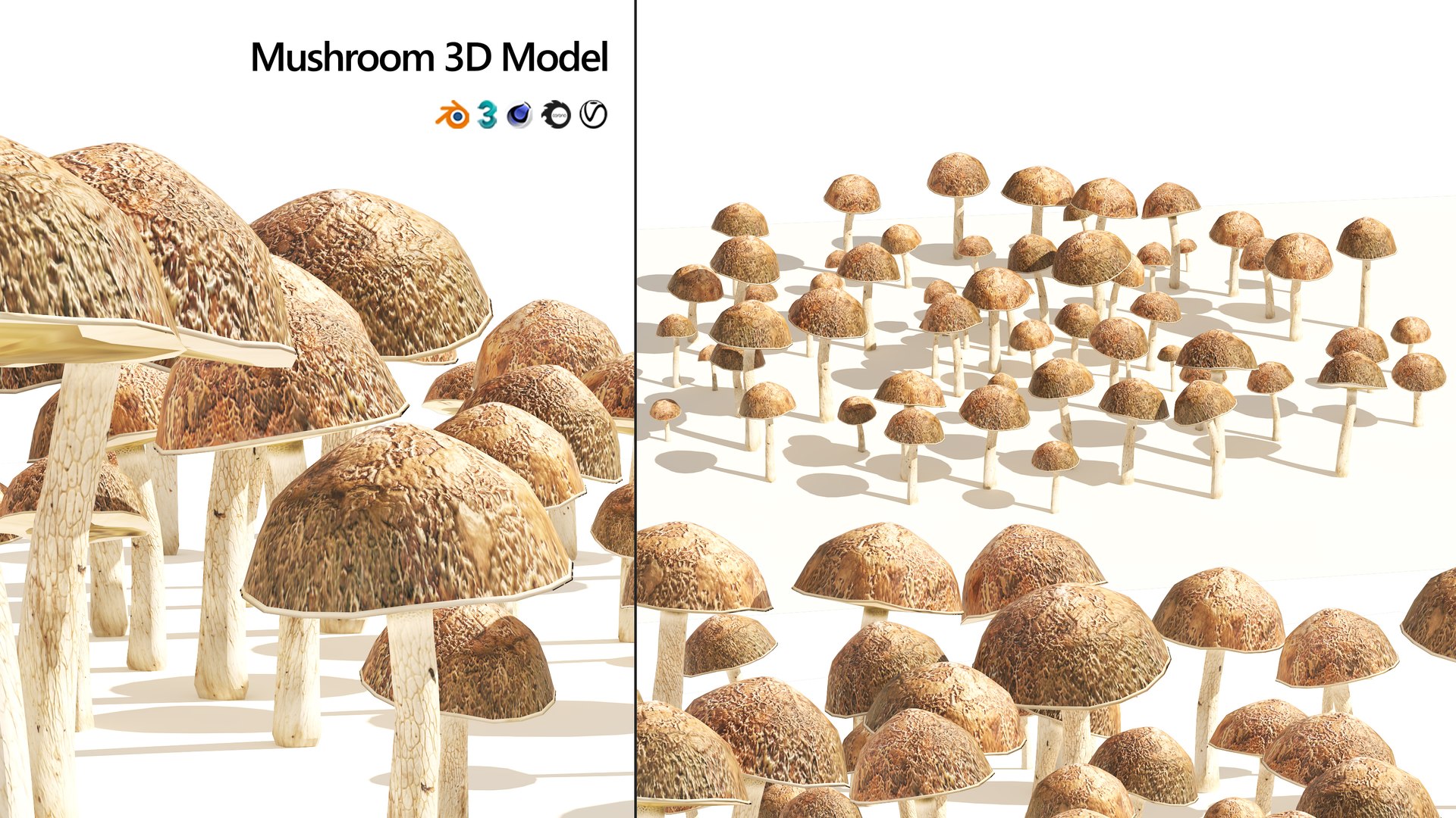 3D Mushroom Cluster https://p.turbosquid.com/ts-thumb/tI/m46SMA/GW/artcover01/jpg/1658696478/1920x1080/fit_q87/718436177e92eb72bf5fc023aace538557fe4c56/artcover01.jpg