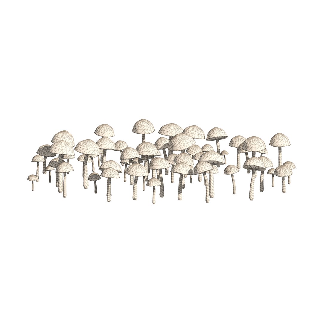 3D Mushroom Cluster https://p.turbosquid.com/ts-thumb/tI/m46SMA/WN/wire/jpg/1658696478/1920x1080/fit_q87/d3b83ac217bd095e2358c8f7e2f117a33b8cb91a/wire.jpg