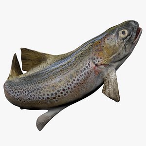 TROUT L1985 3D model