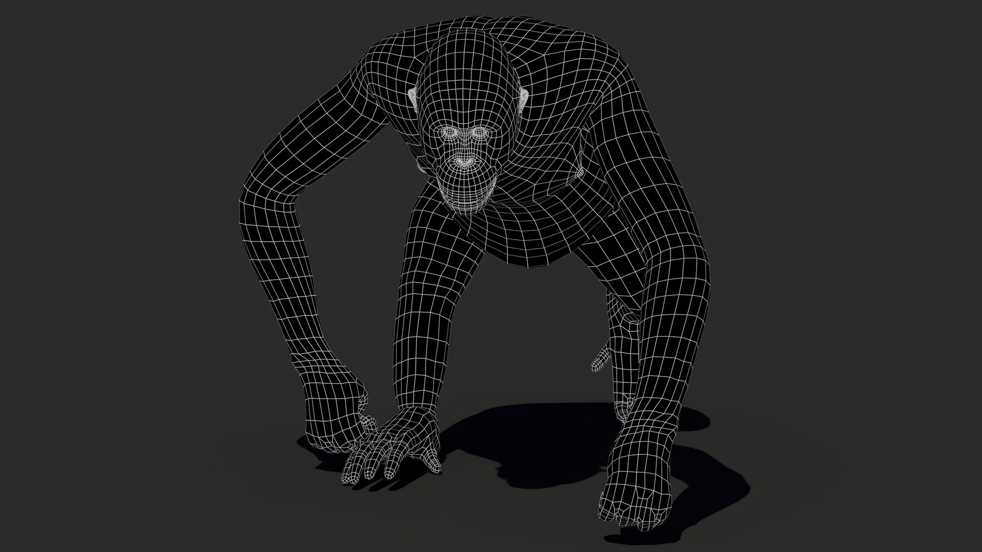 3D Orangutan Animated Fur model https://p.turbosquid.com/ts-thumb/tJ/0M1qWe/58/orangutanfemale3dmodelwireframe0/jpg/1767530702/1920x1080/fit_q87/d2b00cfcc84263175d998d24dfc973433bfddfb3/orangutanfemale3dmodelwireframe0.jpg