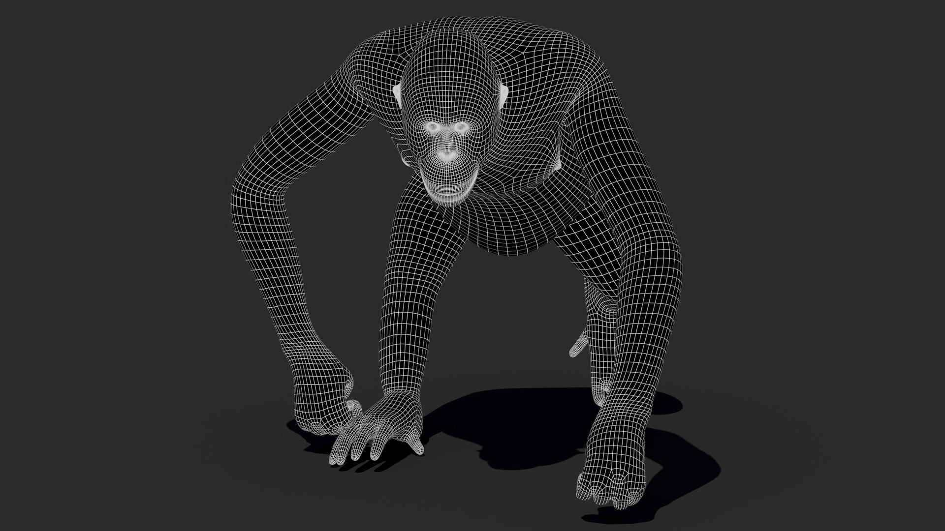 3D Orangutan Animated Fur model https://p.turbosquid.com/ts-thumb/tJ/0M1qWe/cN/orangutanfemale3dmodelwireframe1/jpg/1767530702/1920x1080/fit_q87/362a9e1665d125656b1ca68b6130199afcc33340/orangutanfemale3dmodelwireframe1.jpg