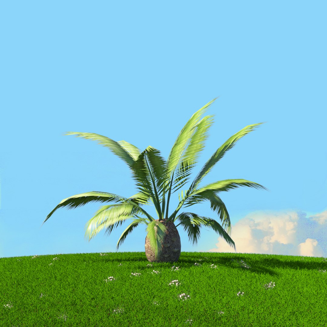 Trees Spring Environment 3D Model - TurboSquid 1655015