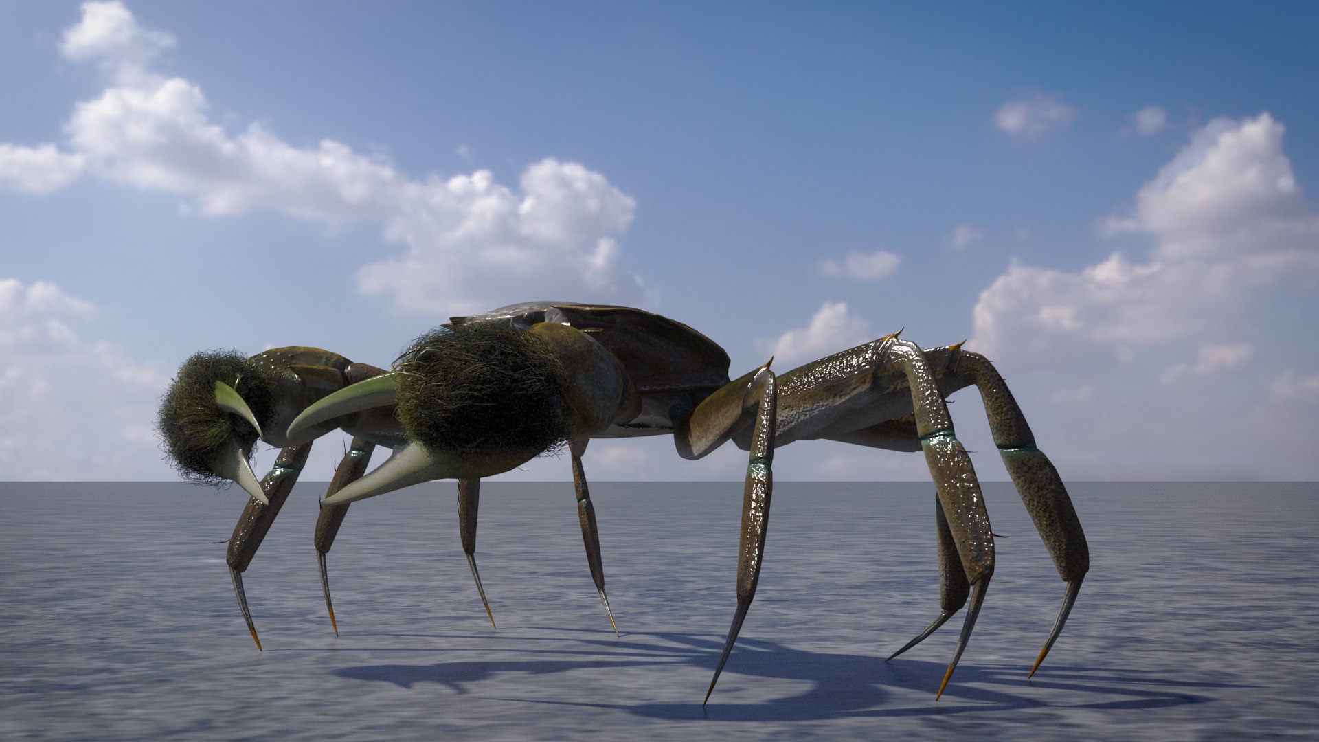3D CrabFemaleRiggedMAX Model - TurboSquid 2349668