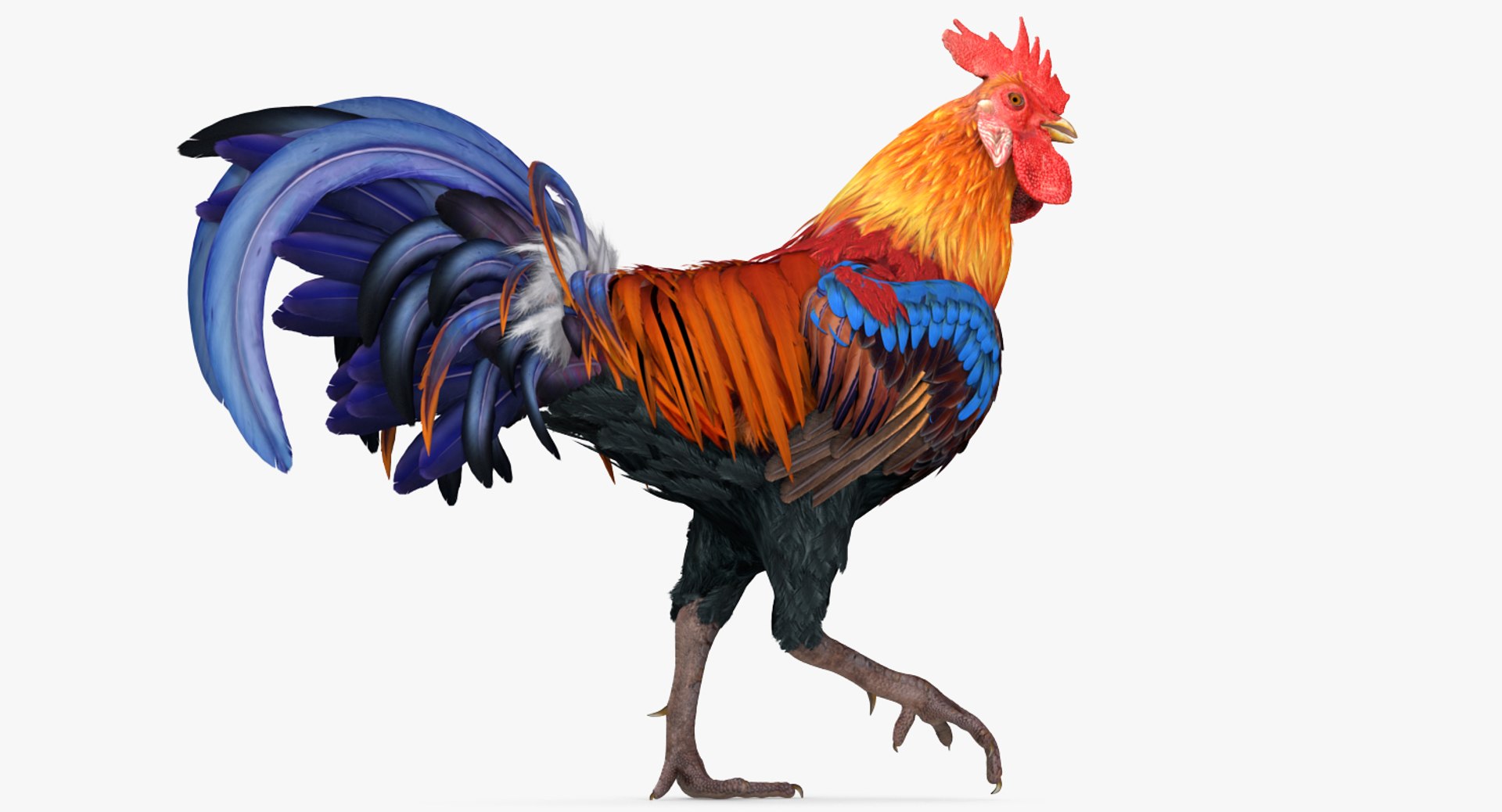 3d rooster rigged