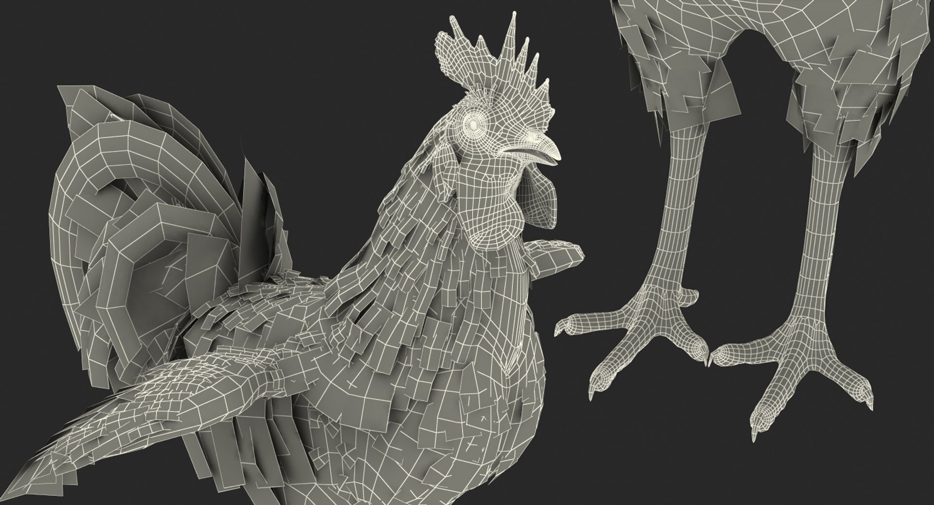 3d Rooster Rigged