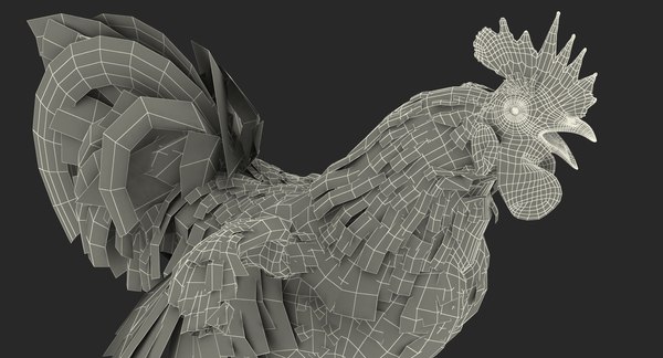 3d rooster rigged