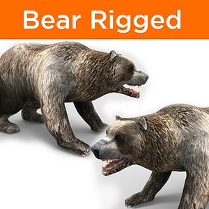 3D bear rigged