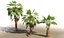 china palm pack tree 3D