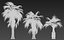 china palm pack tree 3D