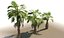 china palm pack tree 3D