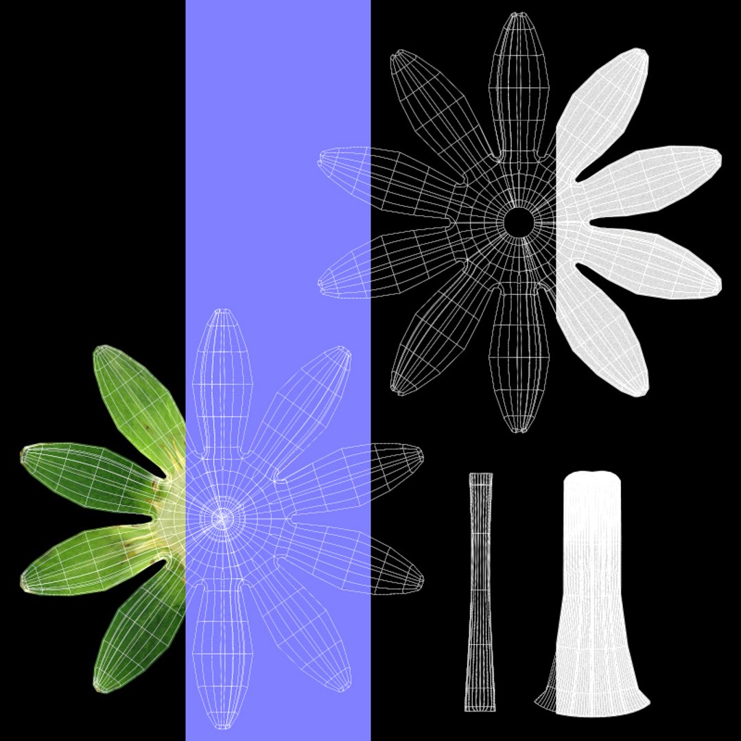 Strawberry 3D model https://p.turbosquid.com/ts-thumb/tK/ISqnxb/vI/stem_uvs/jpg/1648336770/1920x1080/fit_q87/cfd51bcb2f7b1655139fd2ee296d9a52307896b6/stem_uvs.jpg