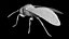 Vespa Vespula Germanica
