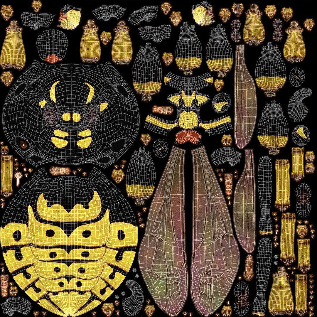 3D Wasp  Vespula Germanica https://p.turbosquid.com/ts-thumb/tK/WYCVid/Am/wespe27/png/1716141362/1920x1080/fit_q87/07204abb95da10d94d2e3fc332d356167107f8e9/wespe27.jpg