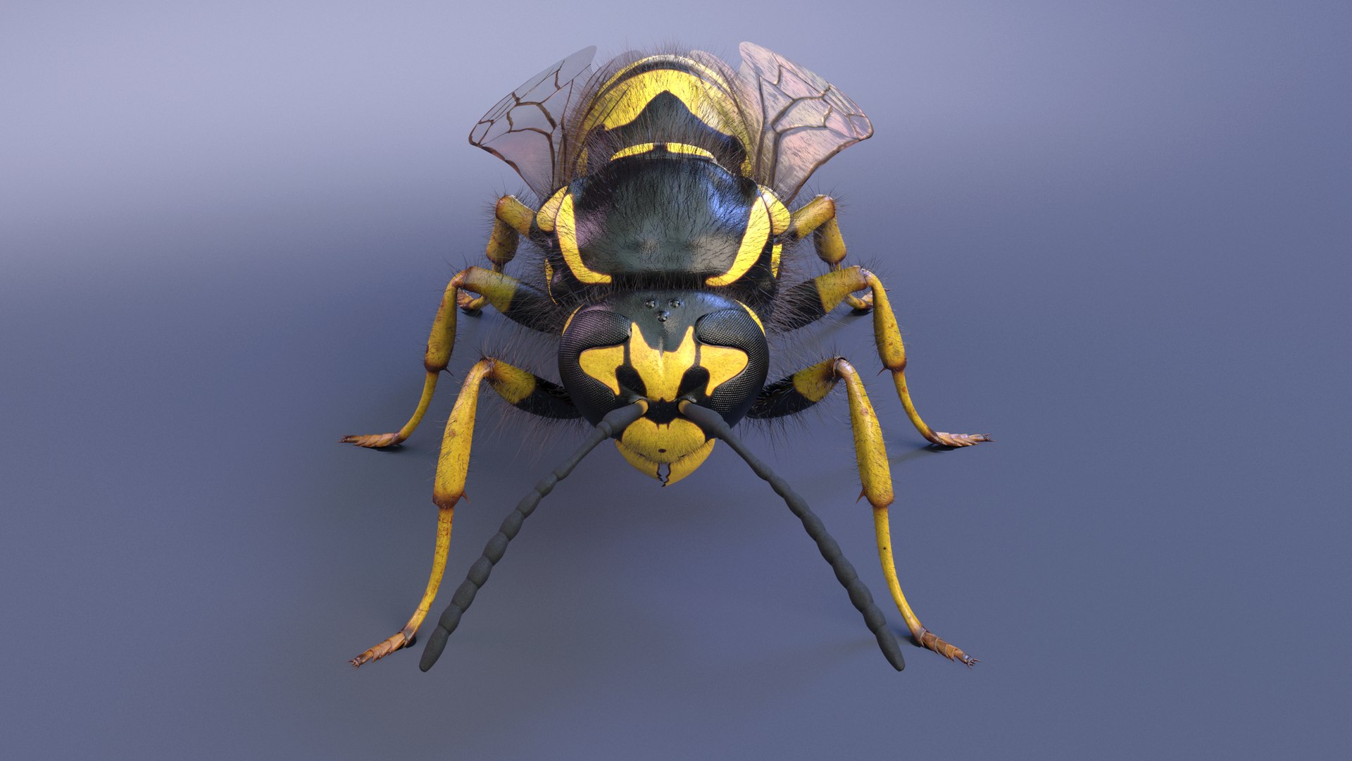 3D Wasp  Vespula Germanica https://p.turbosquid.com/ts-thumb/tK/WYCVid/IW/wespe02/png/1716141349/1920x1080/fit_q87/d317ad355d4e204422b5937f0d1c0fdc403f706c/wespe02.jpg
