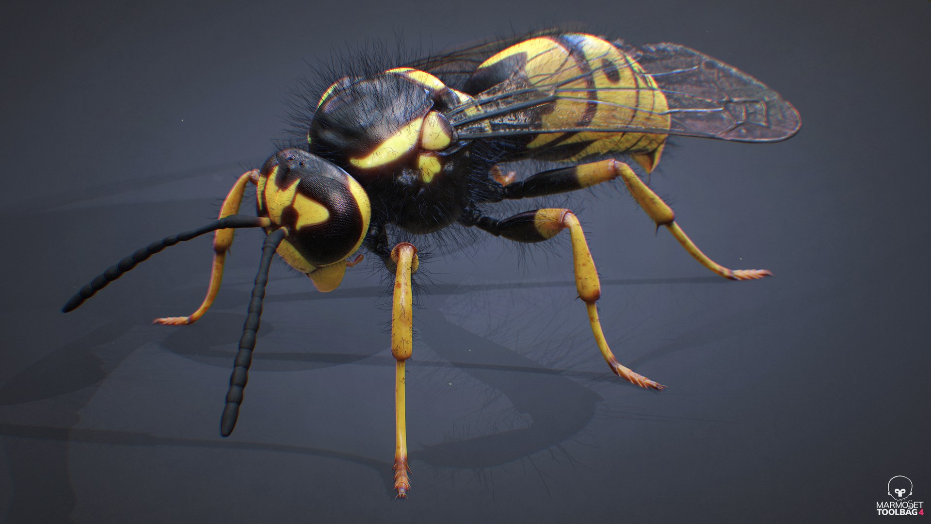 3D Wasp  Vespula Germanica https://p.turbosquid.com/ts-thumb/tK/WYCVid/Oz/wespe26/png/1716141362/1920x1080/fit_q87/39b53aff1bb44ae42cf64f9433e1976f002e5e23/wespe26.jpg