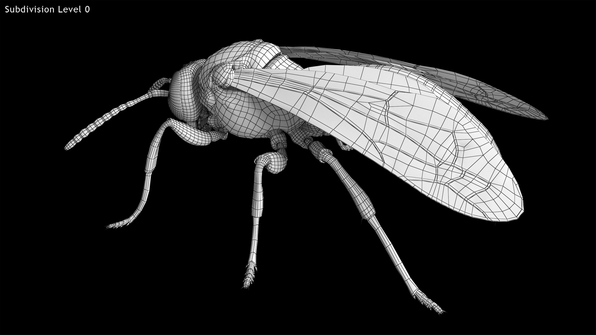 3D Wasp  Vespula Germanica https://p.turbosquid.com/ts-thumb/tK/WYCVid/R4/wespe17/png/1716141357/1920x1080/fit_q87/facfed64ea6e1956b7df07345d3a244ce610a39d/wespe17.jpg