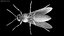 Vespa Vespula Germanica